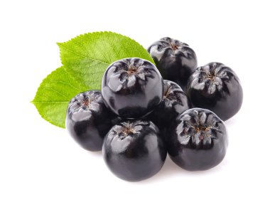 chokeberry yaprakları ile