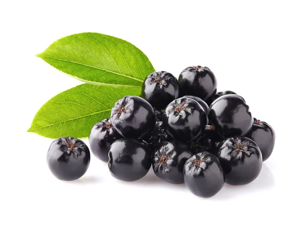 Chokeberry with leaves — Stock Photo, Image