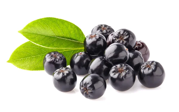 Chokeberry with leaves — Stock Photo, Image