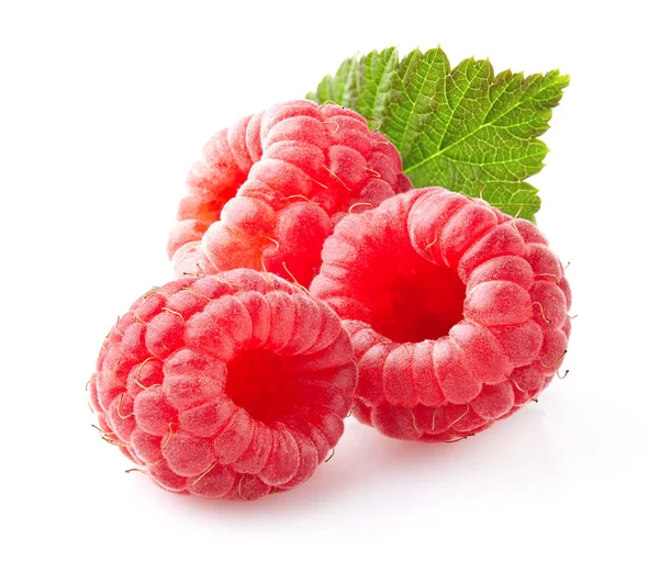 Raspberry in closeup — Stock Photo, Image