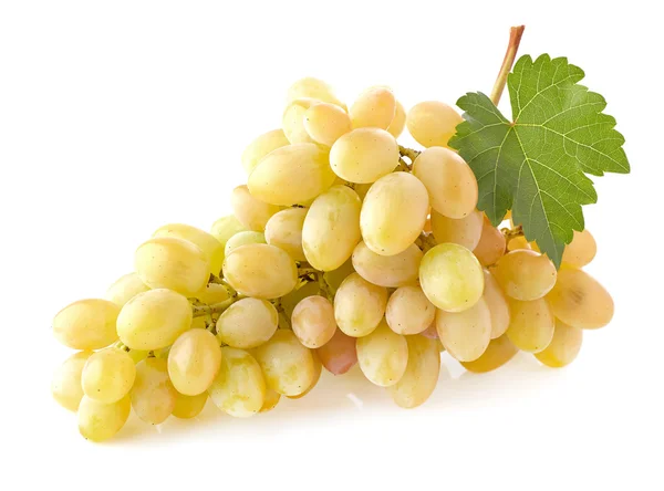 Grape in closeup — Stock Photo, Image