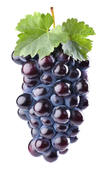 Ripe grape in closeup — Stock Photo, Image