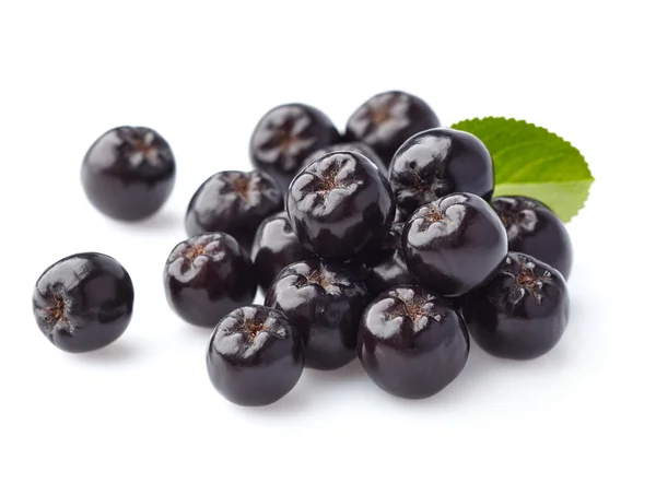 Bacche di aronia — Foto Stock