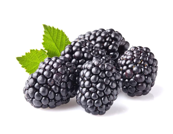 Blackberry in closeup Stock Image