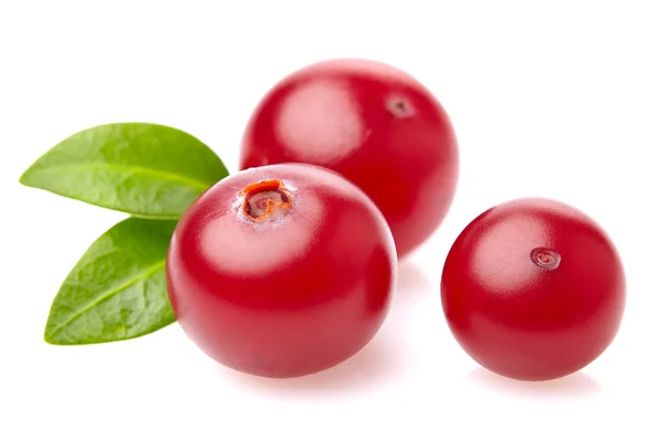 Ripe cranberry in closeup with leaves — Stock Photo, Image