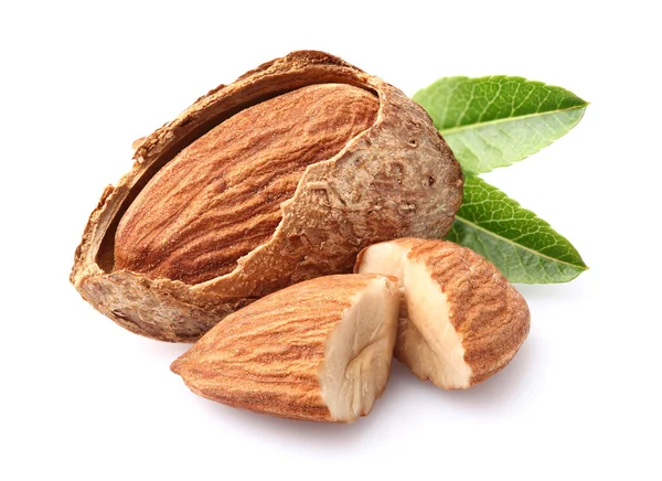 Noyau d'amandes avec feuilles — Photo