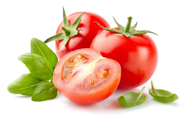 Tomate con albahaca — Foto de Stock