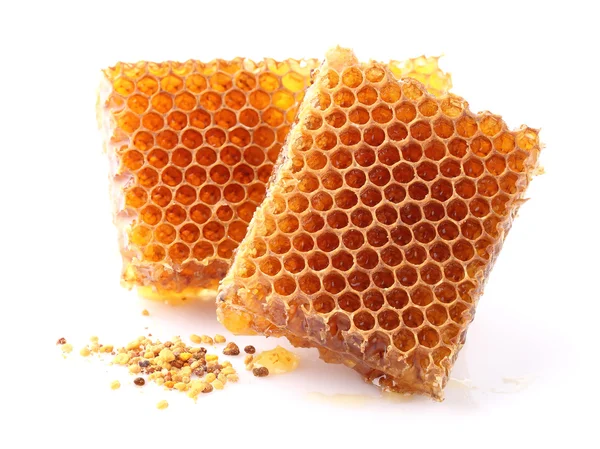 Pollen on a white background — Stock Photo, Image