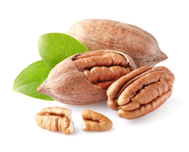 Pecans yaprakları ile