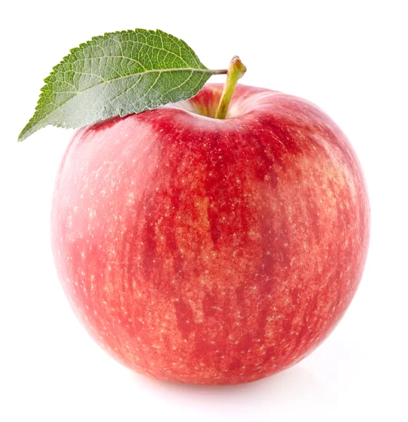 Uma maçã em close-up — Fotografia de Stock