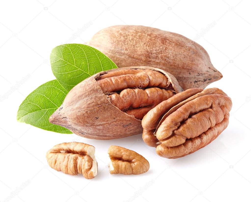 Pecans with leaves