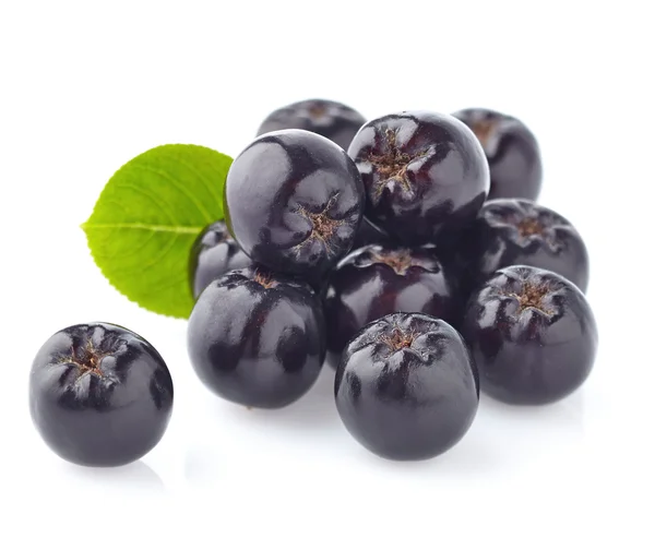 Chokeberry with leaf — Stock Photo, Image