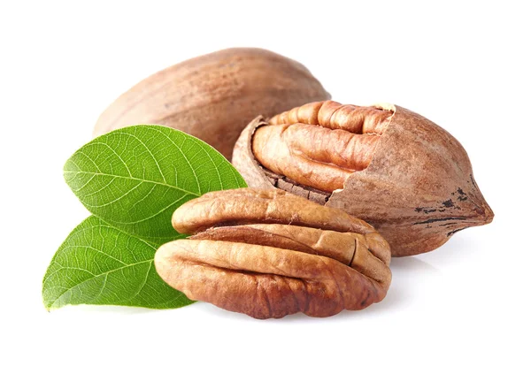 Pecan with leaves — Stock Photo, Image