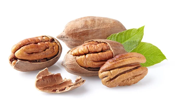 Noci pecan in primo piano — Foto Stock