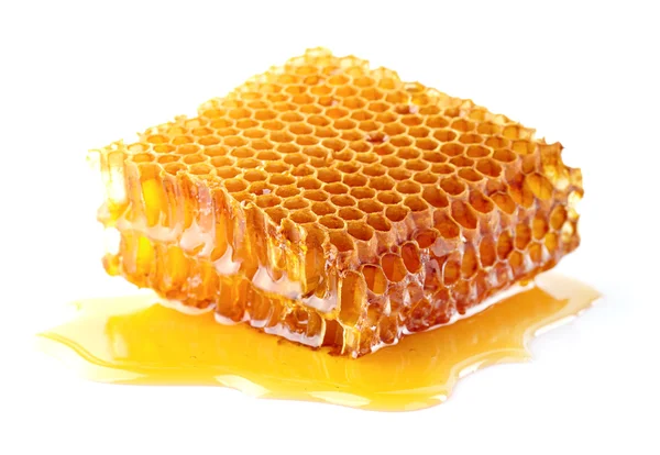 Panal de abeja en primer plano — Foto de Stock