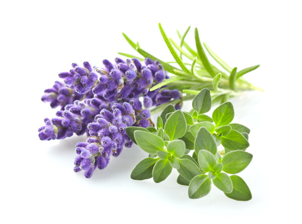 Lavender with thyme