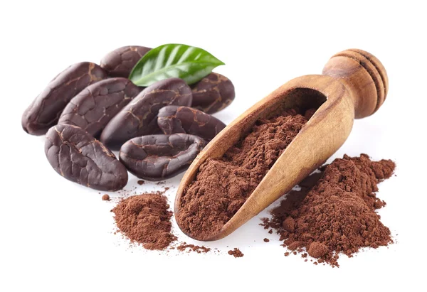 Cacao powder with beans — Stock Photo, Image