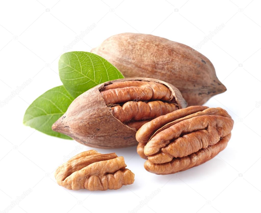 Pecan nuts with leaves