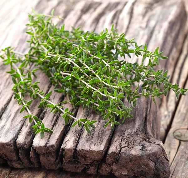 Thymian-Gewürze in Nahaufnahme — Stockfoto