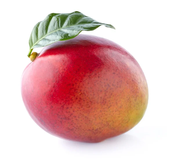 Yaprak ile mango — Stok fotoğraf