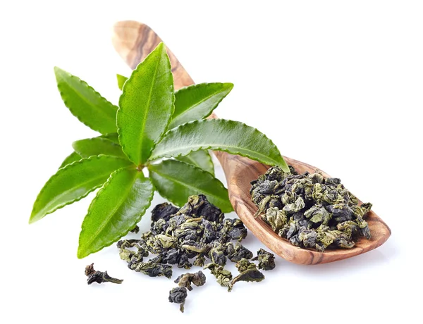 Tè verde fresco — Foto Stock