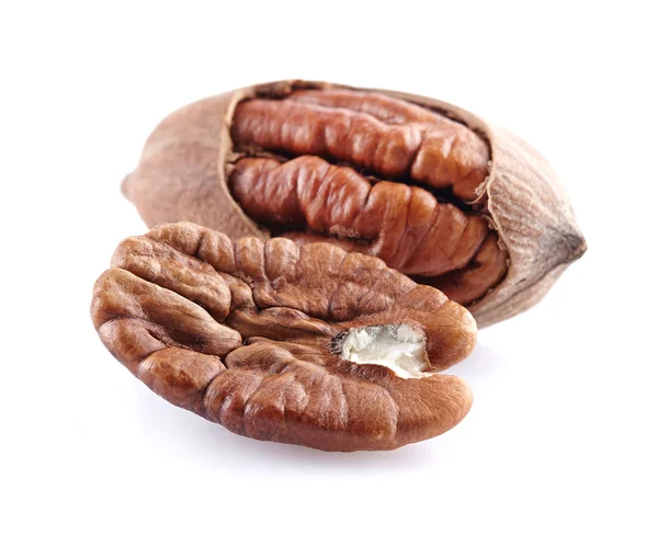 Pecan nut kernel — Stock Photo, Image