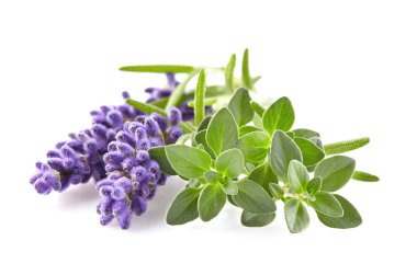 Lavanta kekik baharatlar ile