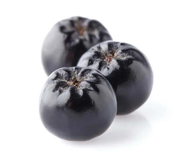 Aronia i närbild — Stockfoto