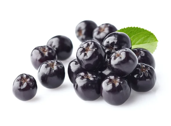 Chokeberry with leaf — Stock Photo, Image