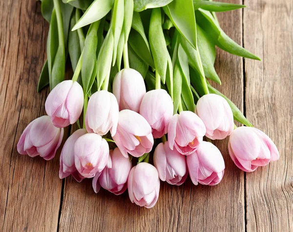 Tulipani in primo piano — Foto Stock