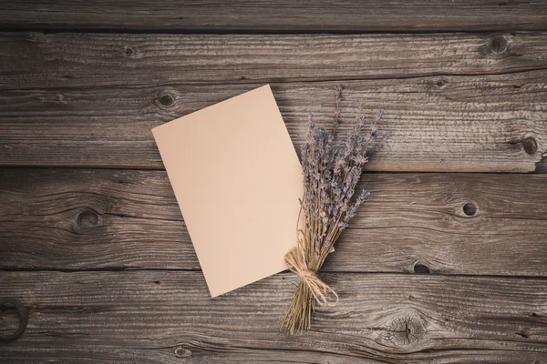 종이 시트와 말린된 라벤더 — 스톡 사진