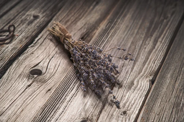 Mazzo di lavanda secca — Foto Stock