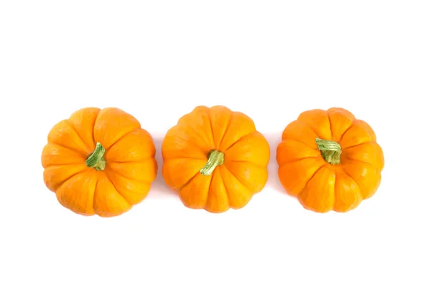 Decoratieve oranje pompoenen — Stockfoto