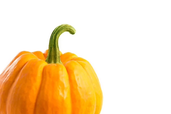 Nahaufnahme eines orangefarbenen Zierkürbisses — Stockfoto