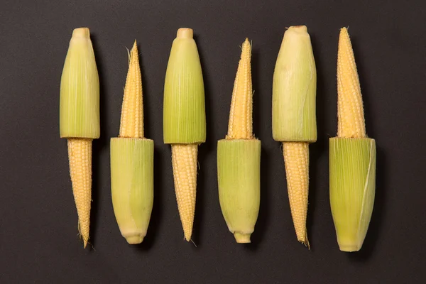 Raw of fresh baby corns — Stock Photo, Image