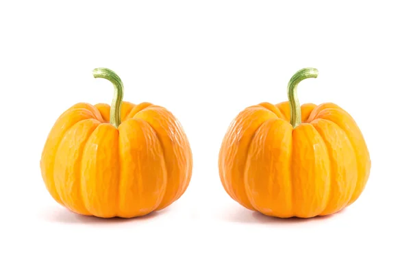 Two small decorative orange pumpkins — Stock Photo, Image