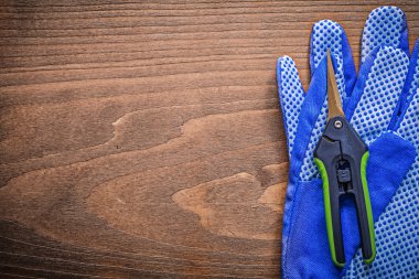 Koruyucu eldiven, Bahçe makası