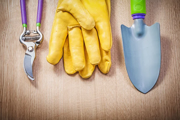 Protective gloves, hand shovel and pruner — Stock Photo, Image