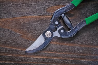 Keskin budama makası