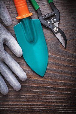 Lastik eldiven, el spade ve secateurs 