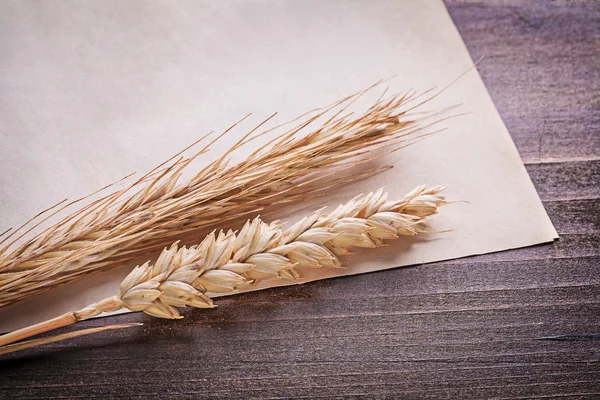 Wheat ears and vintage paper — Stock Photo, Image