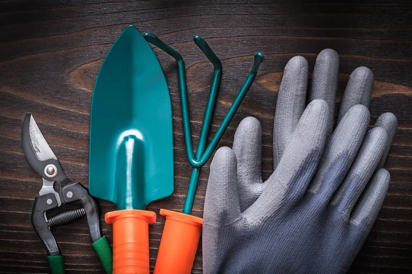 Lastik eldiven, tırmık, kürek ve secateurs — Stok fotoğraf