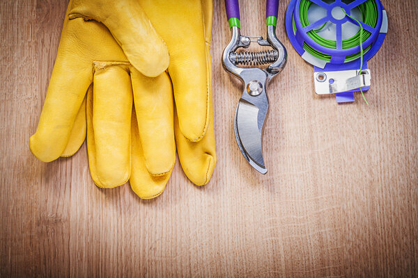 Protective gloves and garden pruner 