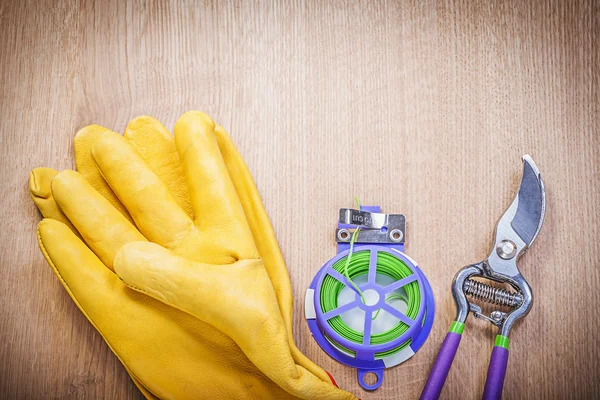 Guantes protectores y podadora de jardín — Foto de Stock