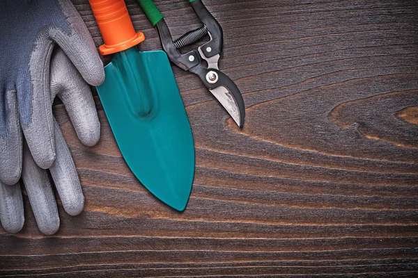 Rubber gloves, hand spade and secateurs — Stock Photo, Image