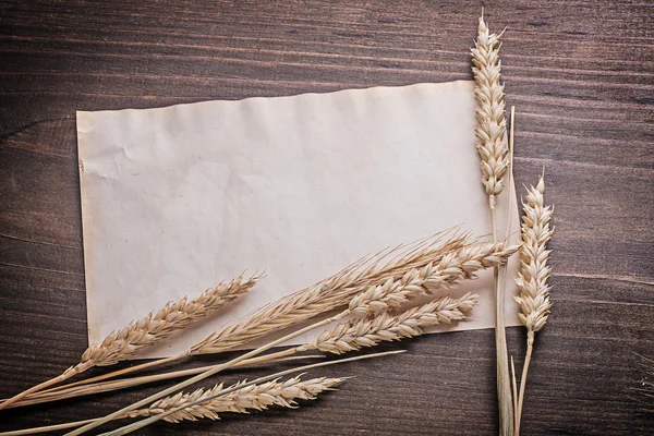 Wheat ears and vintage paper — Stock Photo, Image
