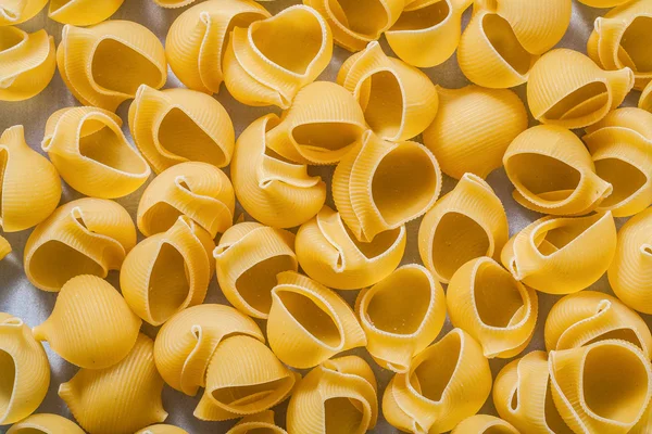 Shell macaroni background — Stock Photo, Image
