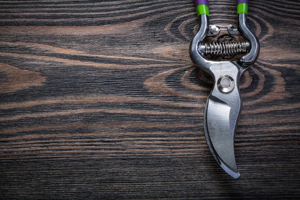 Stainless pruning shears — Stock Photo, Image