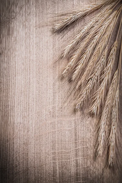 Bunch of wheat rye ears — Stock Photo, Image