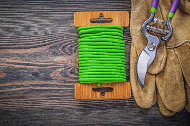 Secateurs koruyucu eldiven Bahçe kravat tel üzerinde ahşap boa kümesi